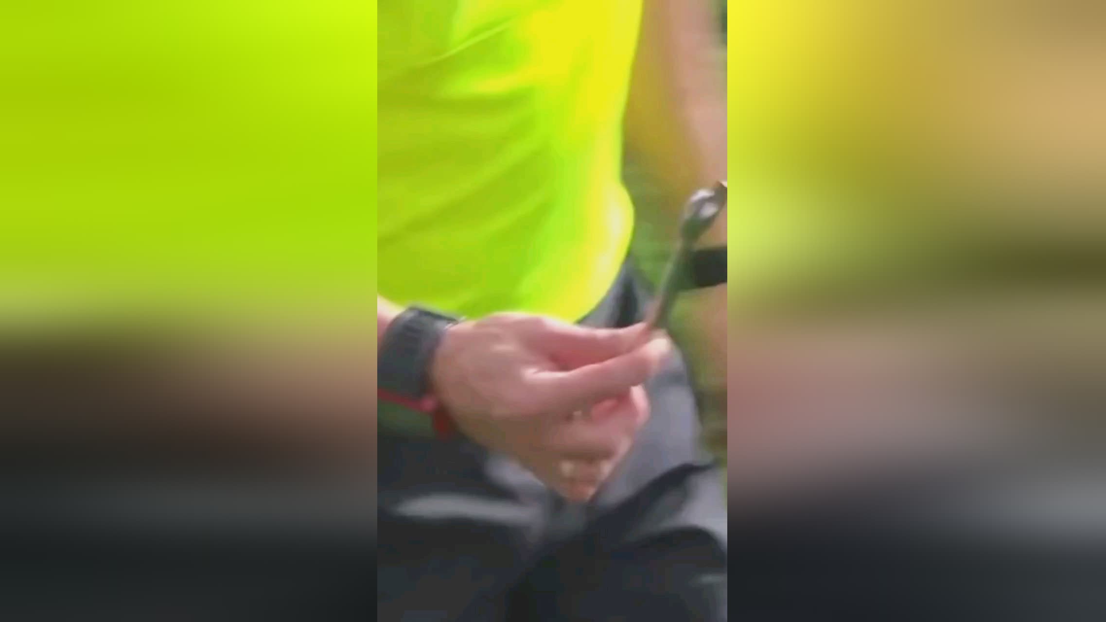 也能
